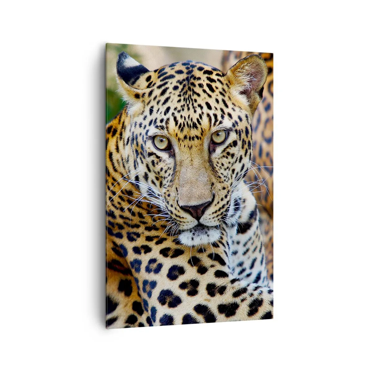 Schilderen op canvas - Wild en kalm - 80x120 cm