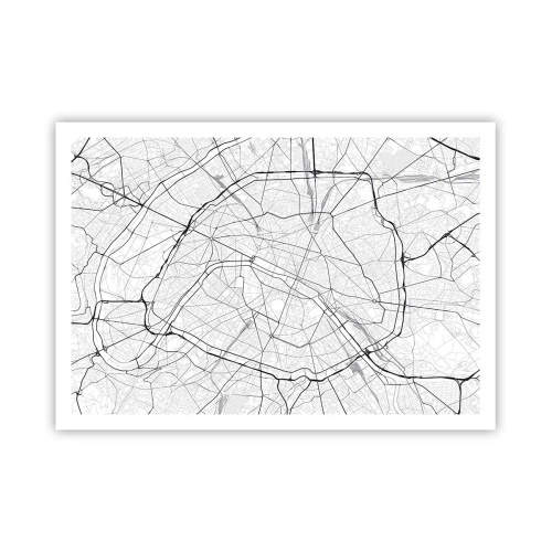 Poster - Parijs bloem - 100x70 cm