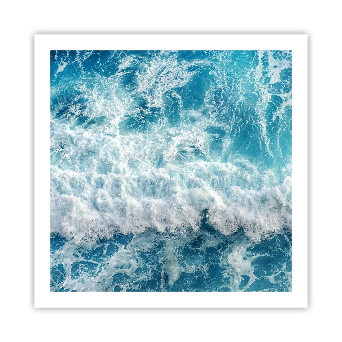 Poster - Vrolijk en springend - 60x60 cm