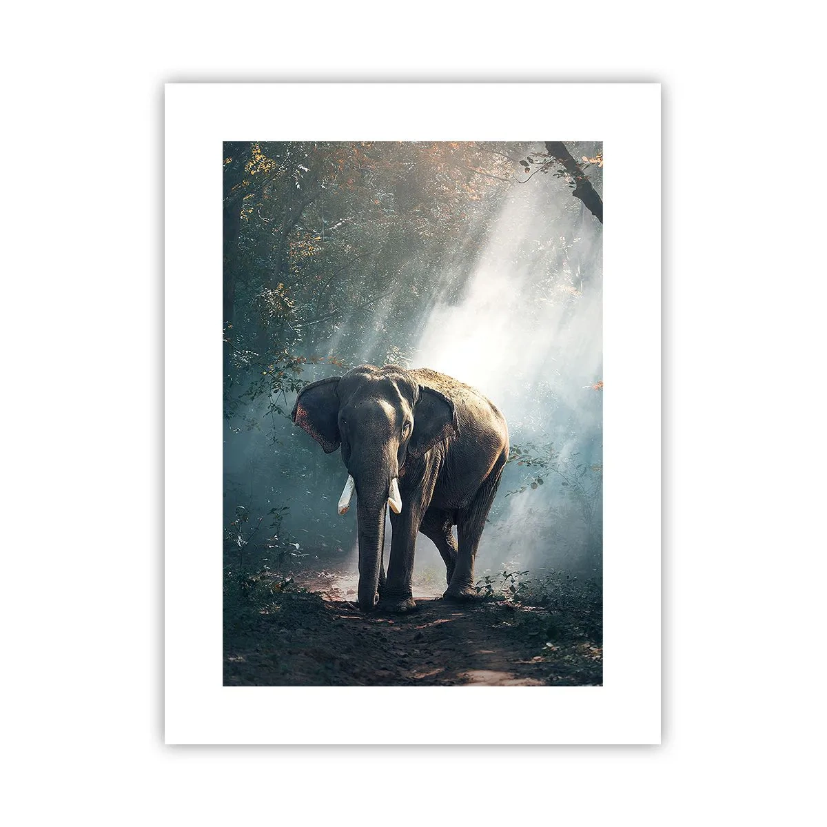 Poster - Een ontspannen wandeling - 30x40 cm