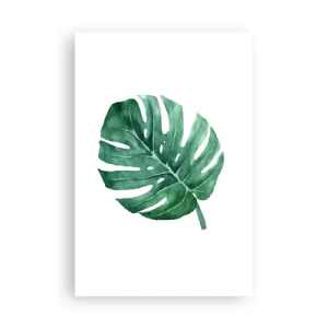 Poster - Groen concept - 61x91 cm