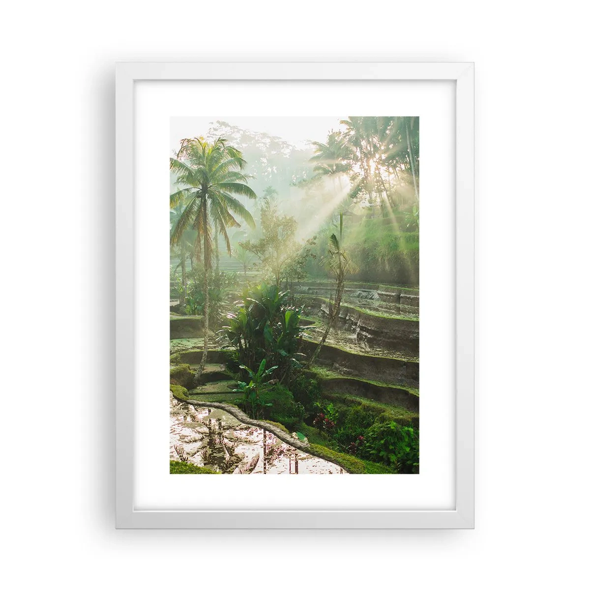 Poster in een witte lijst - Opgroeien in de zon - 30x40 cm