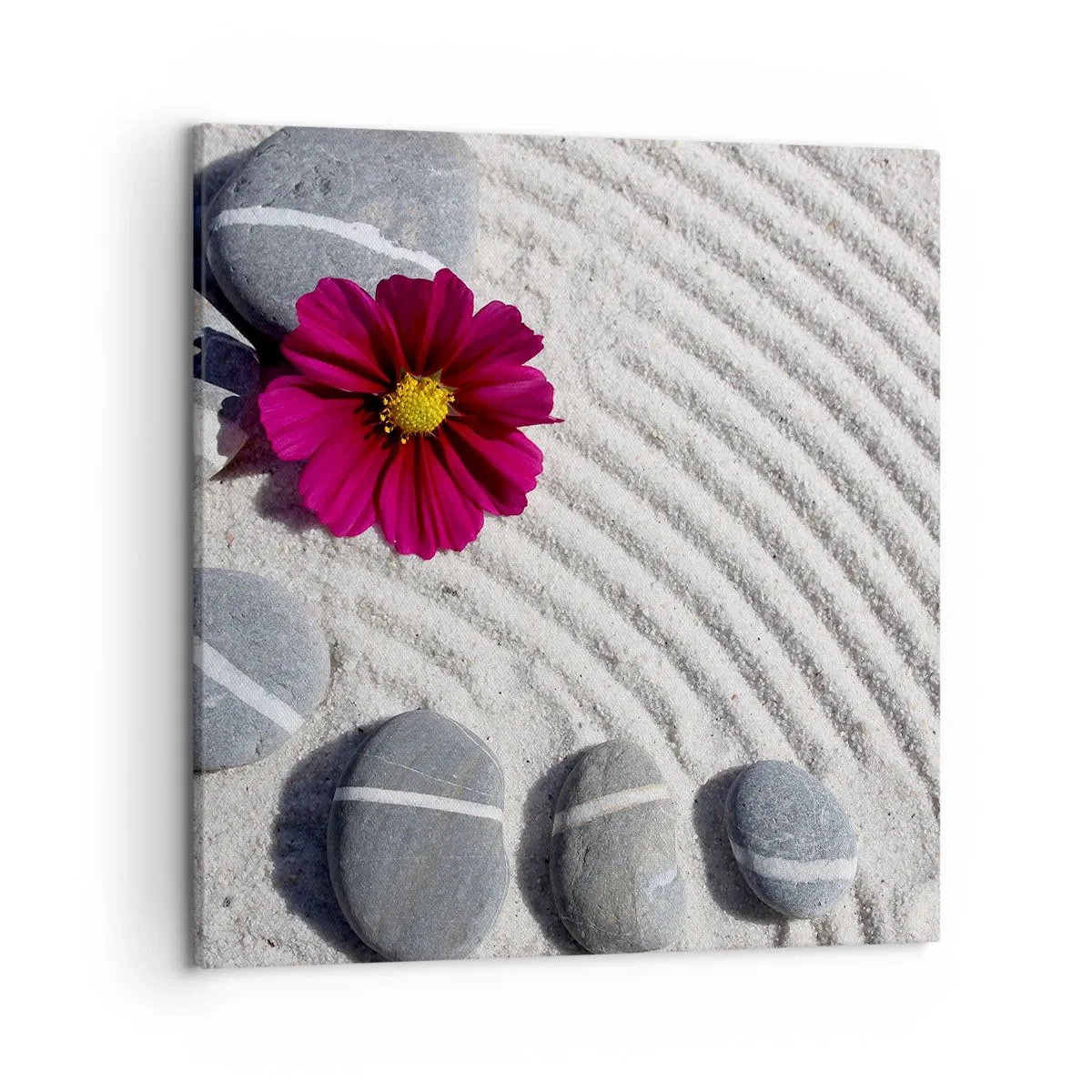 Schilderen op canvas - Energie en rust van de magische cirkel van de natuur - 50x50 cm