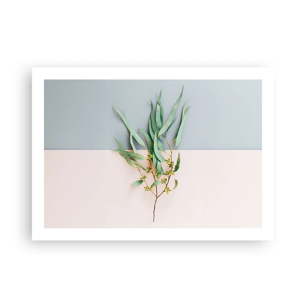 Poster - Subtiliteit in pastelkleuren - 70x50 cm