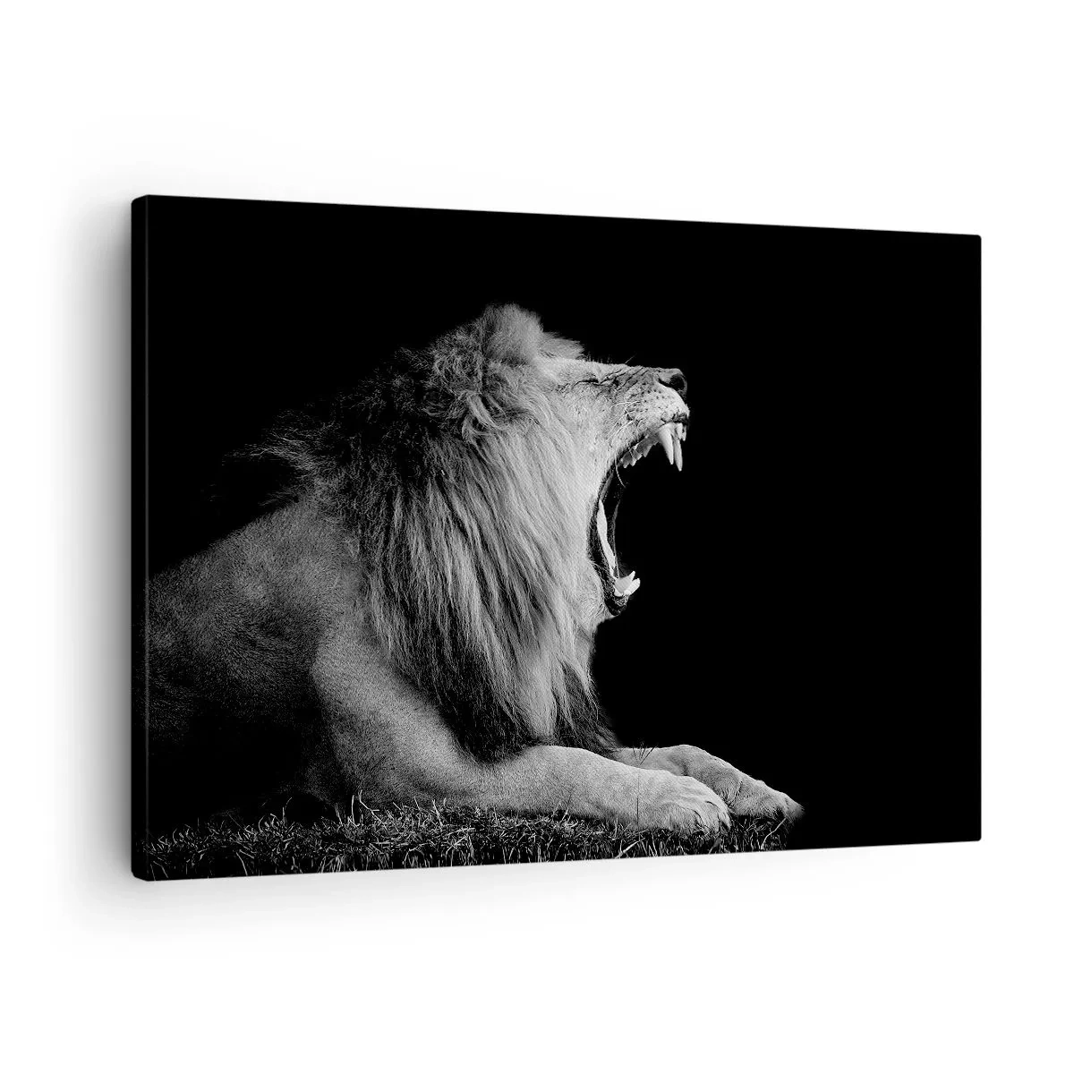 Schilderen op canvas - Een brullende leeuw op een zwarte achtergrond in zwart-wittinten - 70x50cm - Zonder enige twijfel - Moderne wanddecoratie voor woonkamer en slaapkamer ARTTOR
