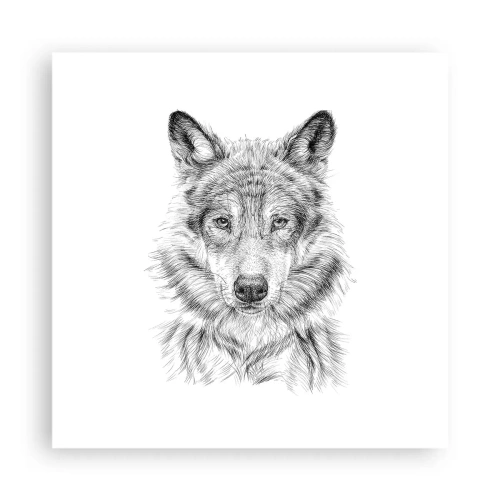 Poster - Een geboren leider - 40x40 cm