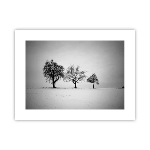 Poster - Waar dromen ze over? - 40x30 cm