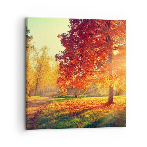 Schilderen op canvas - Rood is mooi - 70x70 cm