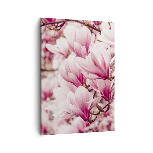 Schilderen op canvas - De lente is roze - 50x70 cm