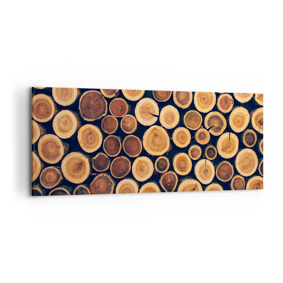 Schilderen op canvas - Hoe oud zie ik eruit? - 100x40 cm