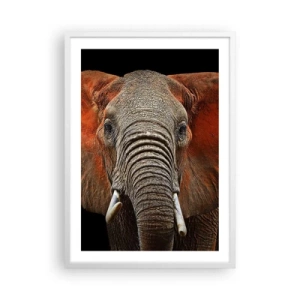 Poster in een witte lijst - Ik ben wild, en jij? - 50x70 cm