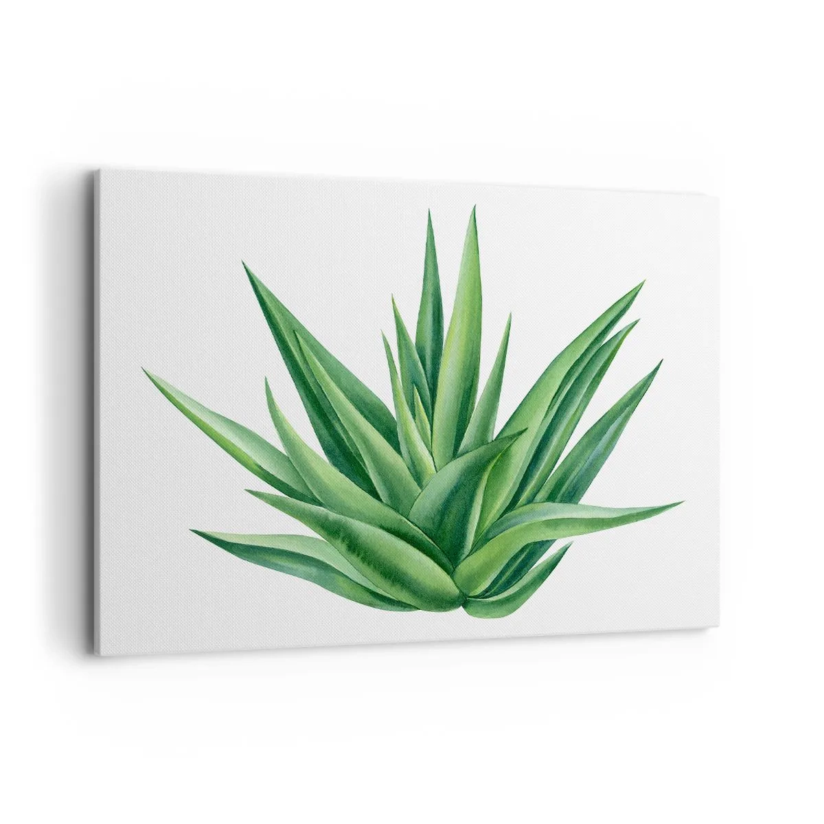 Schilderen op canvas - Groen – kracht – leven - 120x80 cm