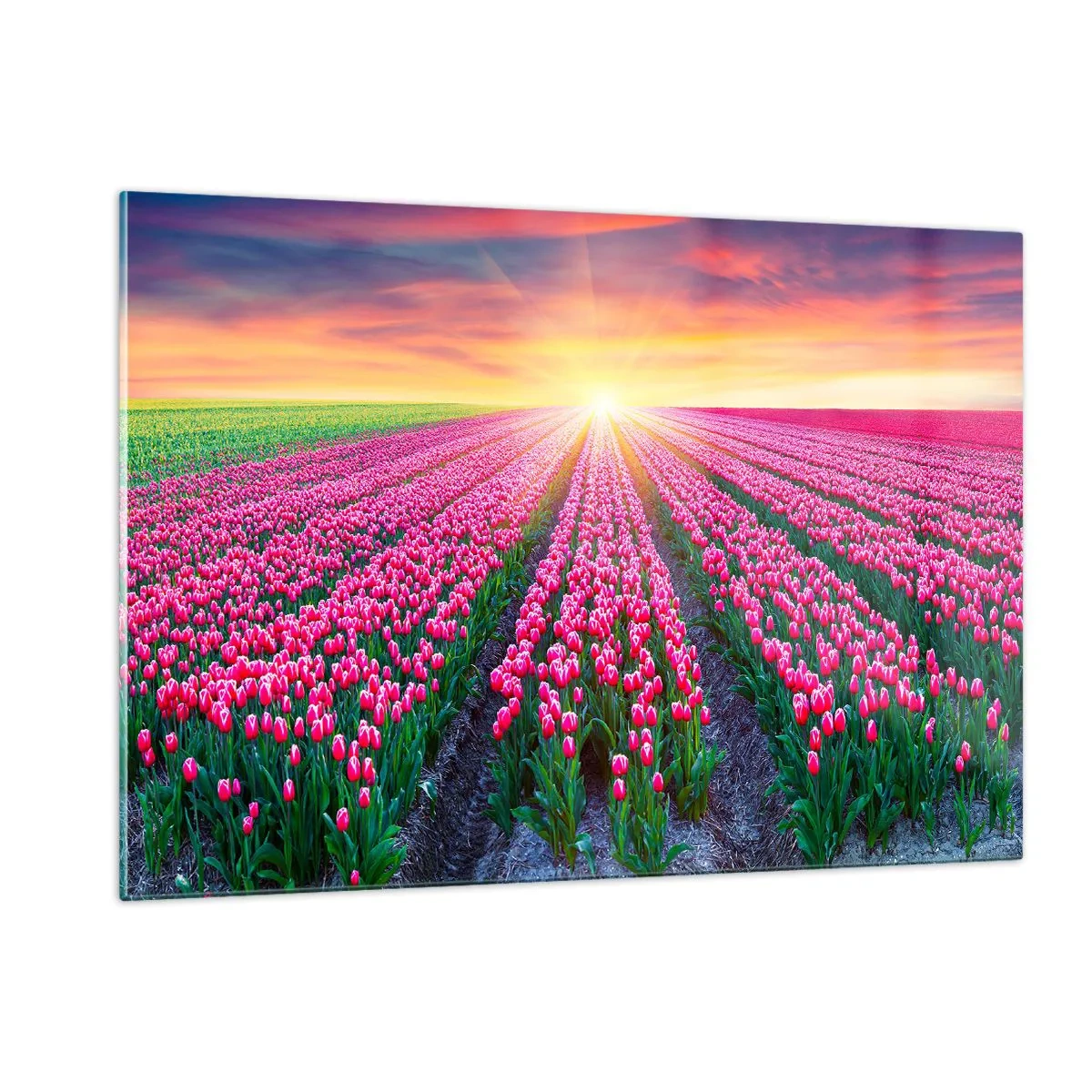 Schilderen op glas - Beautyfarm - 120x80 cm