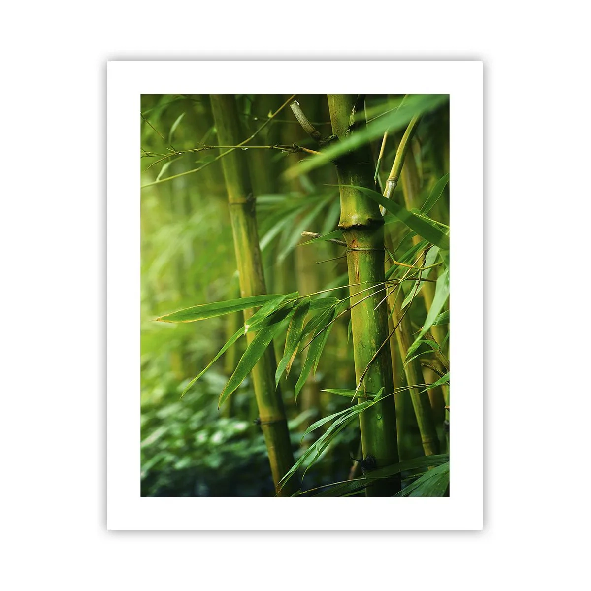 Poster - Maak kennis met groen zelf - 40x50 cm