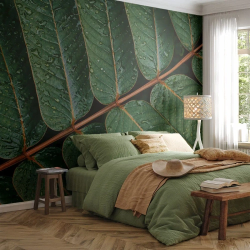 Fotobehang Standard Eco - Groene bladeren met waterdruppels in macrofotografie - 100x70cm - In een groen ritme - Moderne wanddecoratie voor woonkamer en slaapkamer ARTTOR