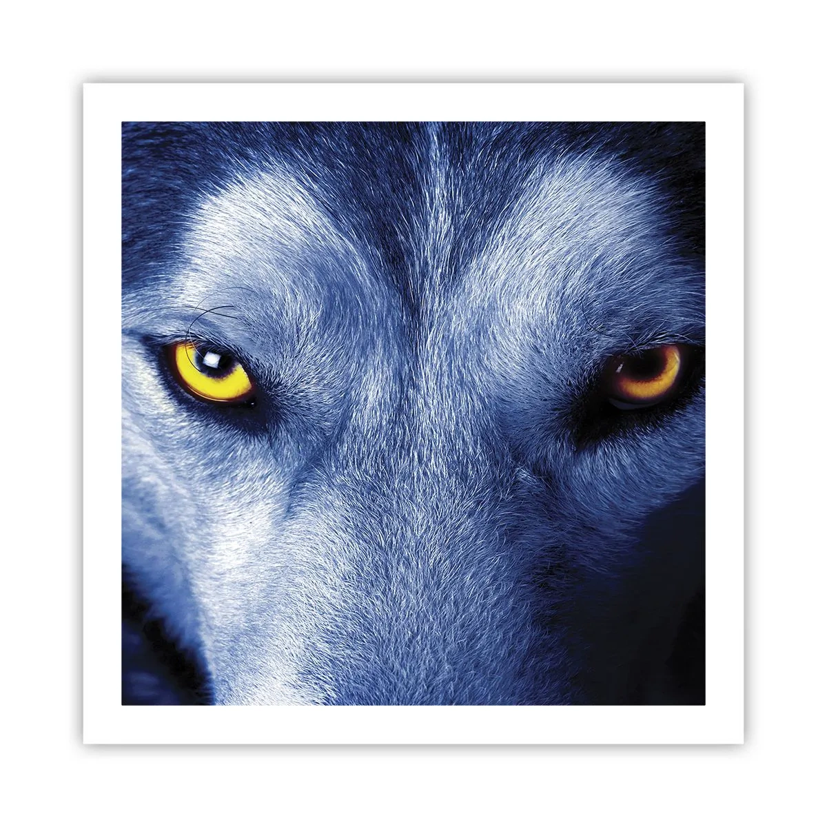 Poster - Betoverende look - 60x60 cm