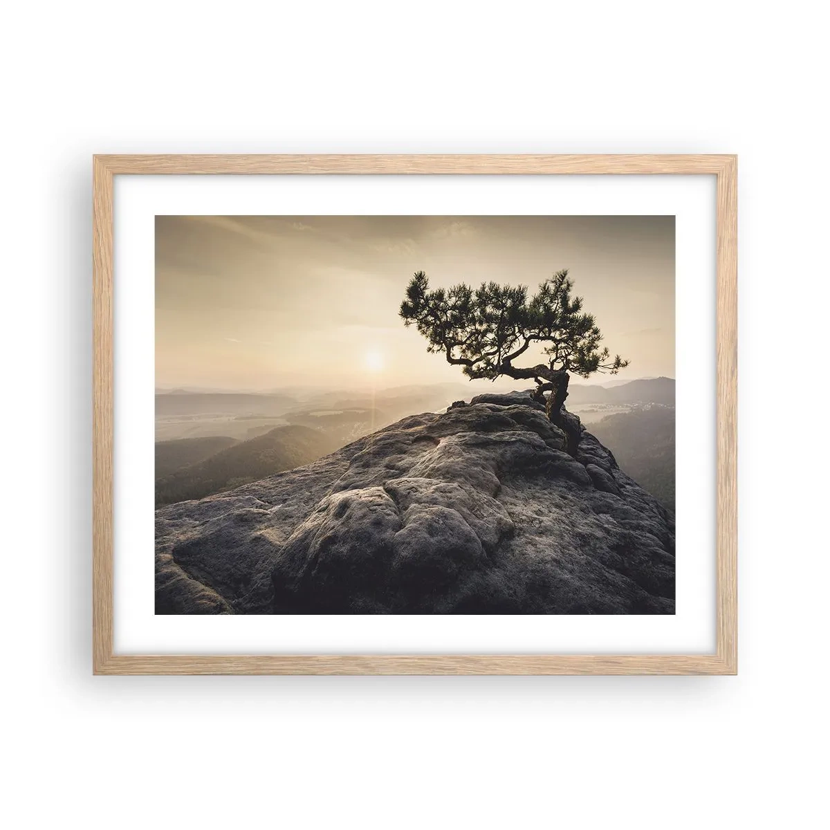 Een poster in een licht eiken lijst - Het leven wint altijd - 50x40 cm