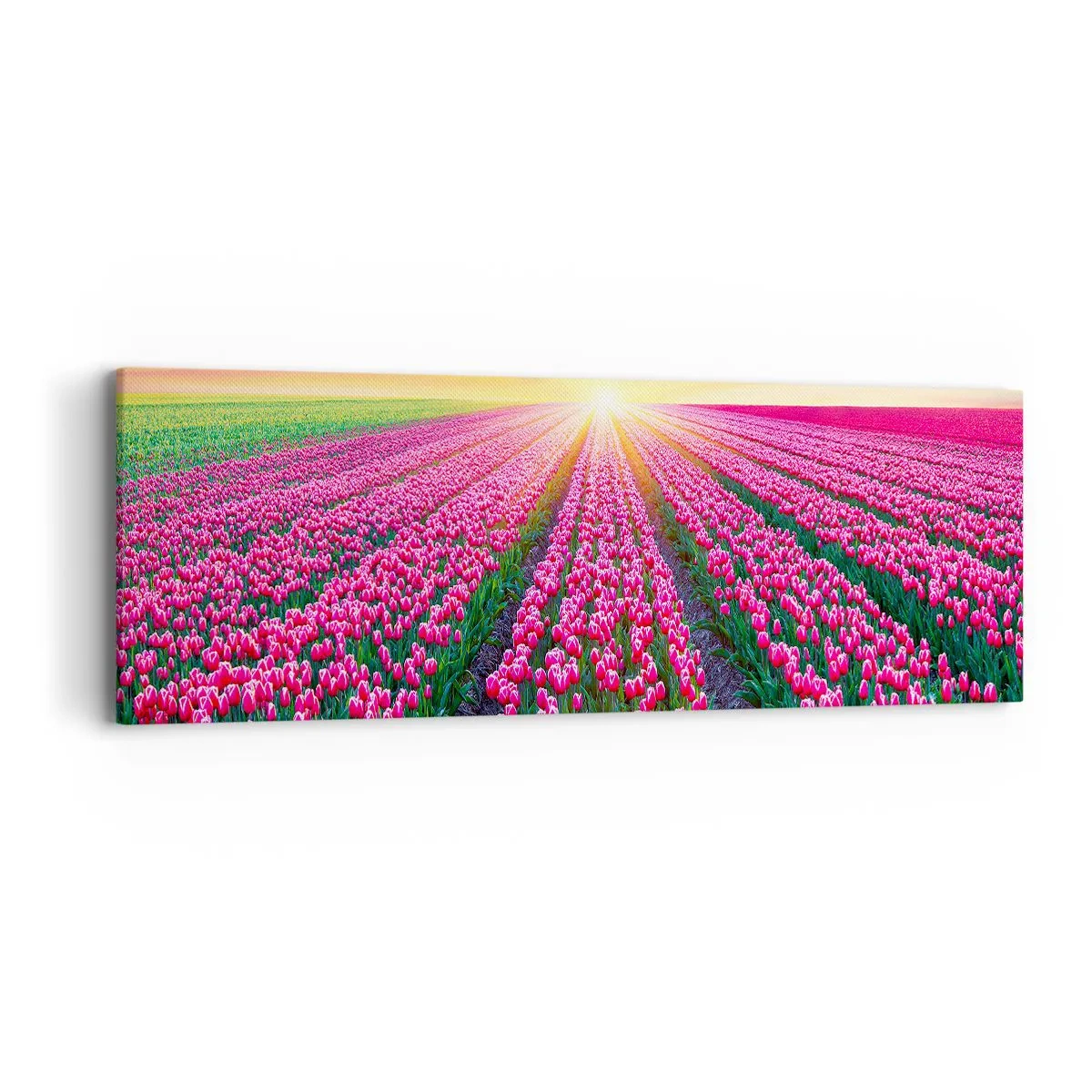 Schilderen op canvas - Beautyfarm - 90x30 cm
