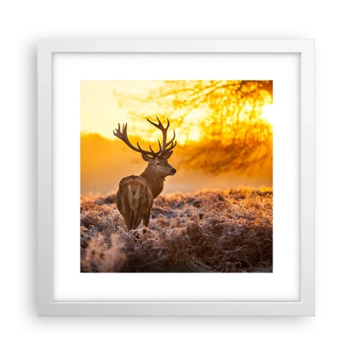 Poster in een witte lijst - Koning van het herfstbos - 30x30 cm