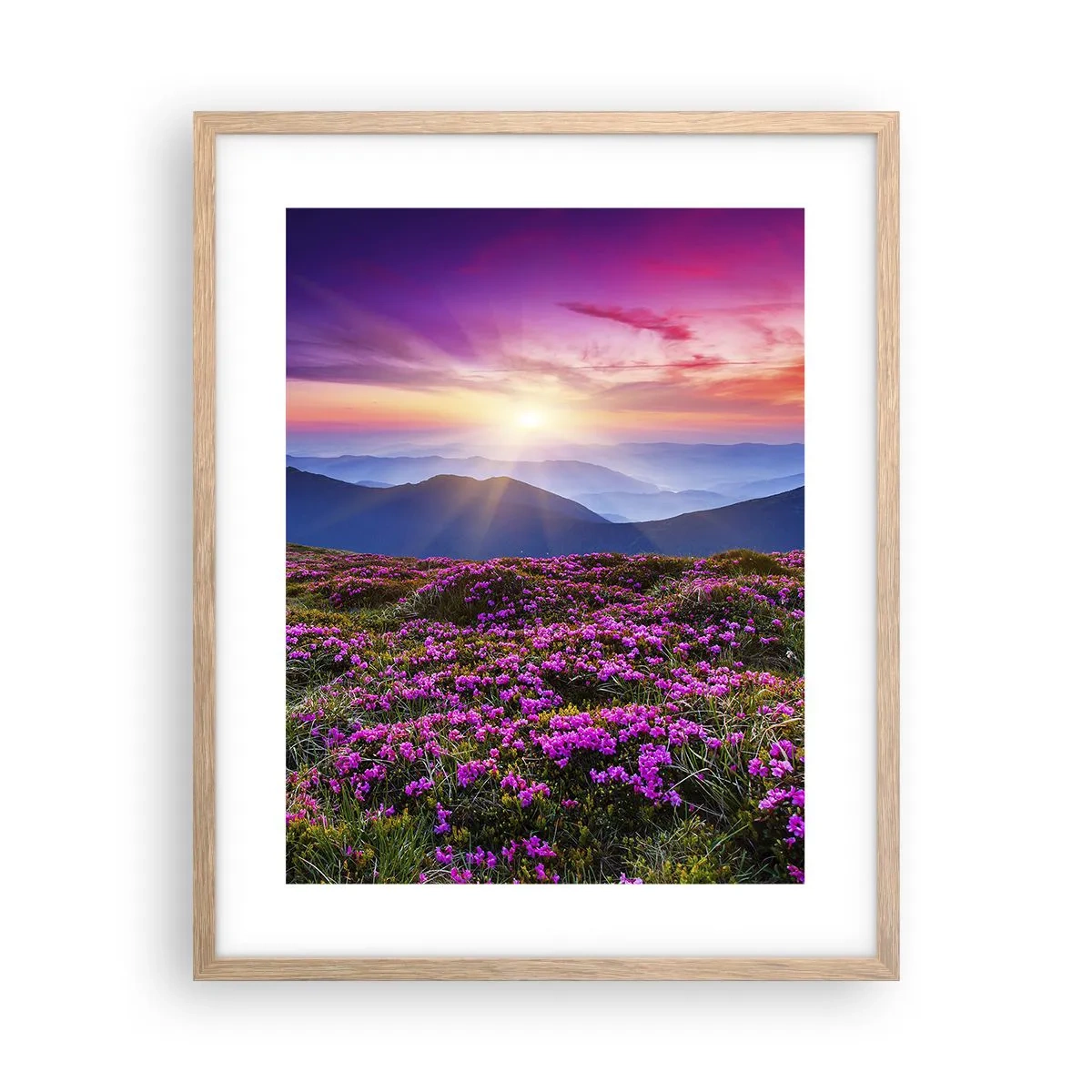 Een poster in een licht eiken lijst - Kruiden roken naar verse trossen van de velden - 40x50 cm