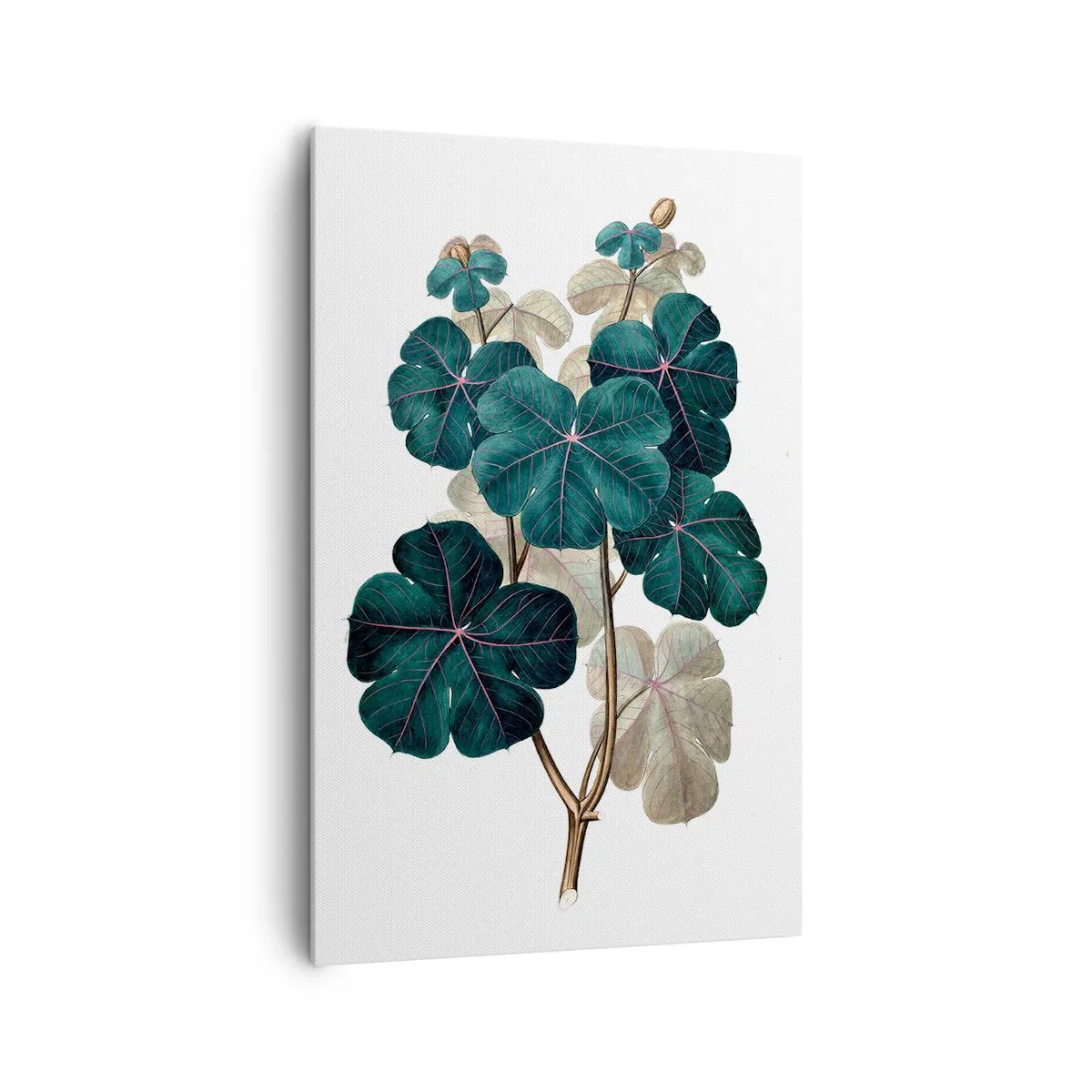 Schilderen op canvas - Uit het oude herbarium - 80x120 cm