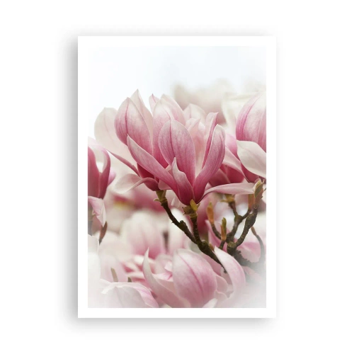 Poster - Lente bloemen - 70x100 cm