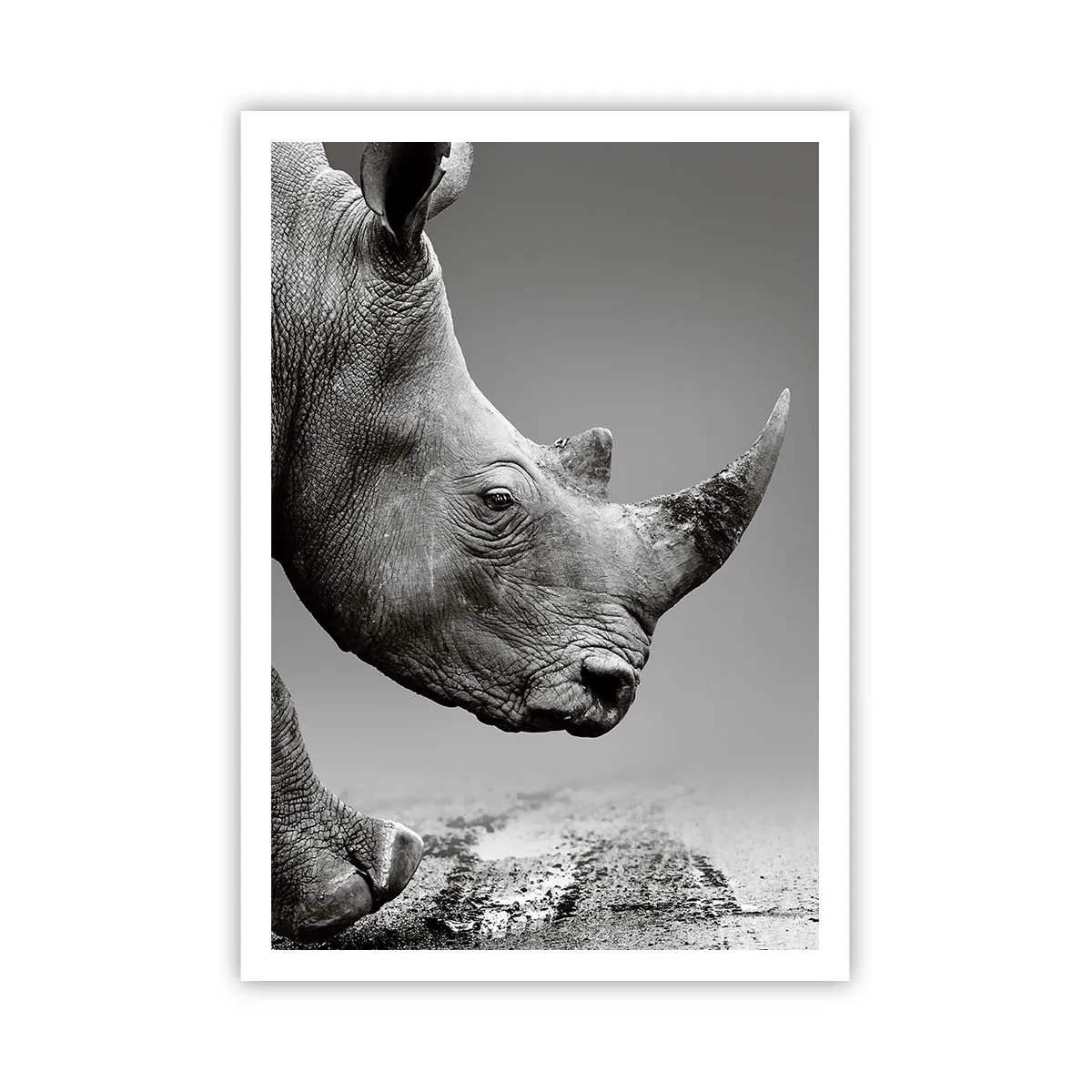 Poster - Onstuitbare kracht - 70x100 cm