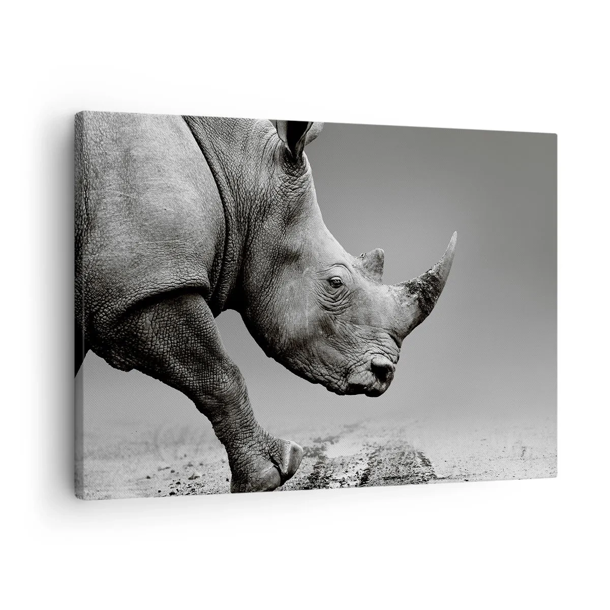 Schilderen op canvas - Portret van een neushoorn tegen de achtergrond van een grijze woestijn - 70x50cm - Onstuitbare kracht - Moderne wanddecoratie voor woonkamer en slaapkamer ARTTOR