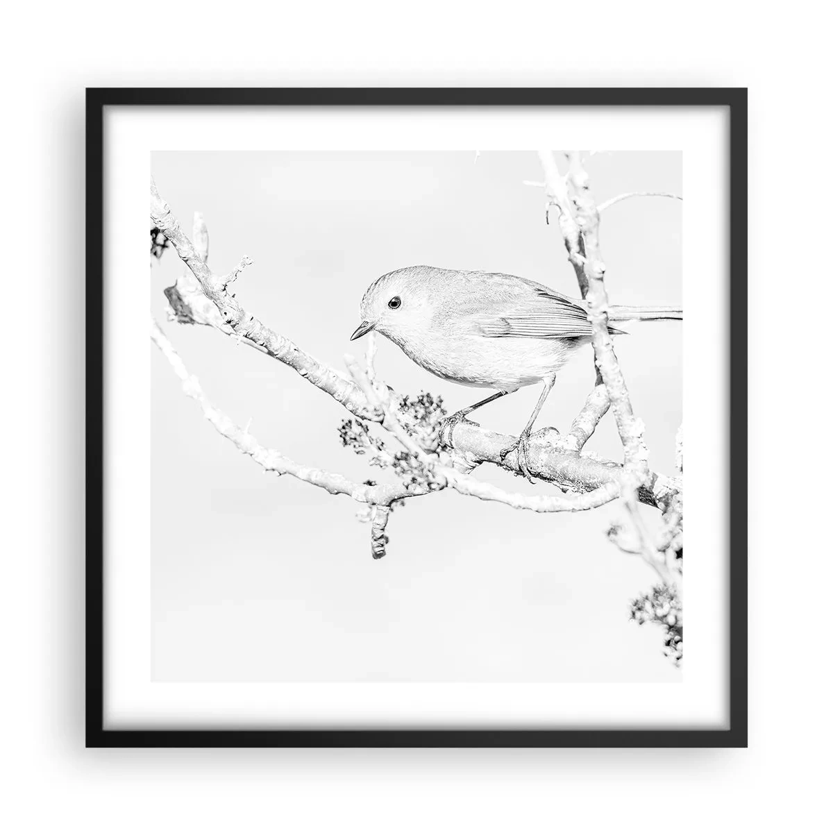 Poster in een zwarte lijst - Winterochtend - 50x50 cm