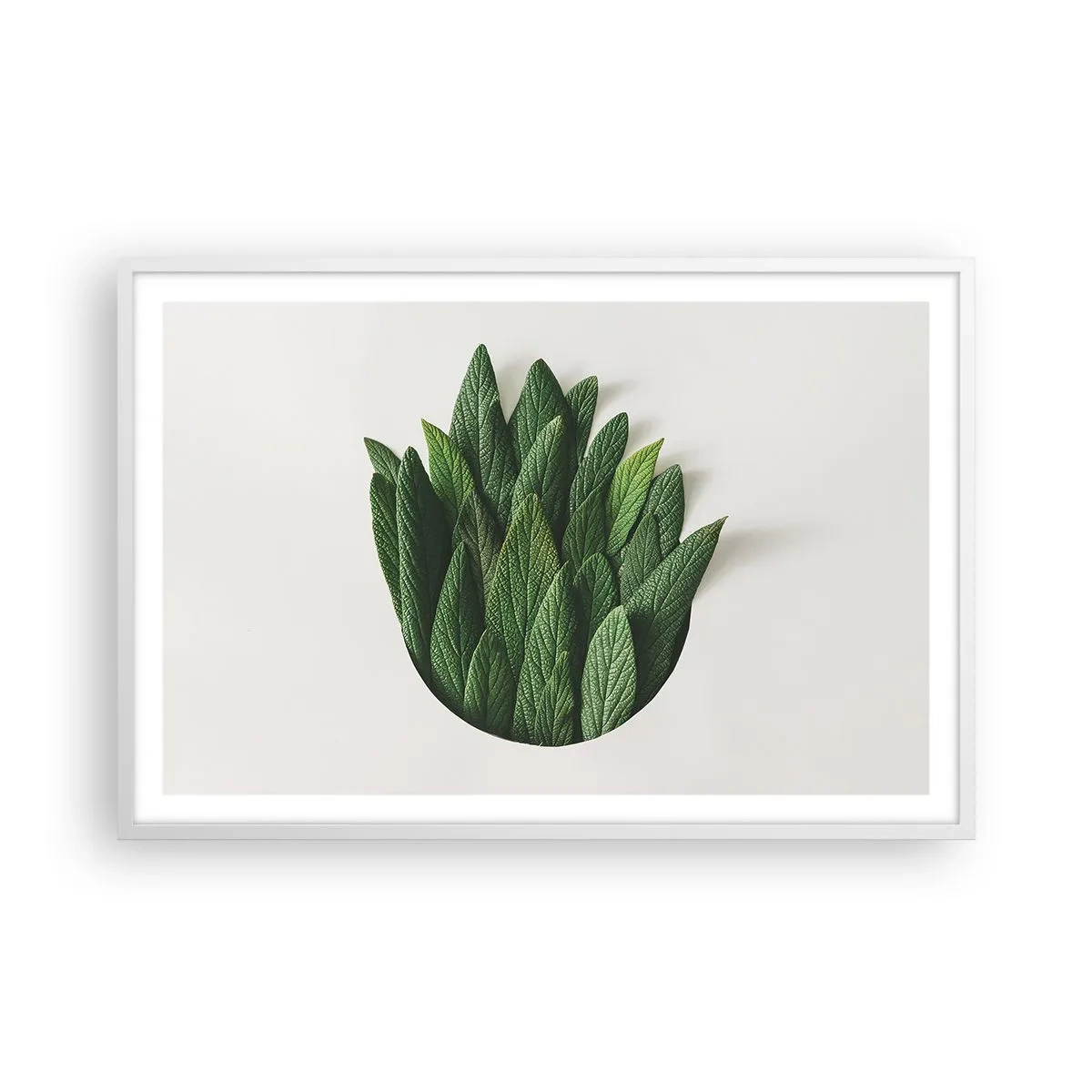 Poster in een witte lijst - Ongebreidelde nieuwsgierigheid - 91x61 cm