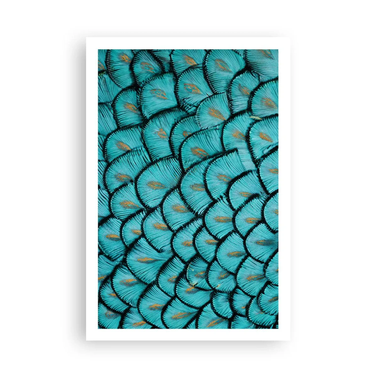 Poster - Het grote verengala - 61x91 cm