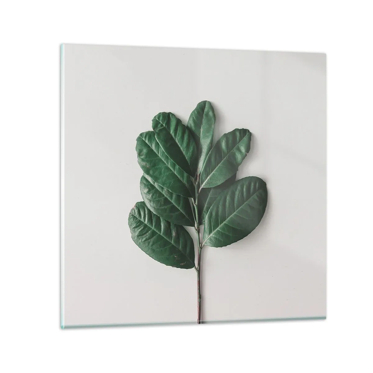 Schilderen op glas - Een tekening van de pure natuur - 40x40 cm