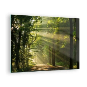 Schilderen op glas - Een bospad verlicht door de zonnestralen - 70x50cm - Bosmoment - Moderne wanddecoratie voor woonkamer en slaapkamer ARTTOR