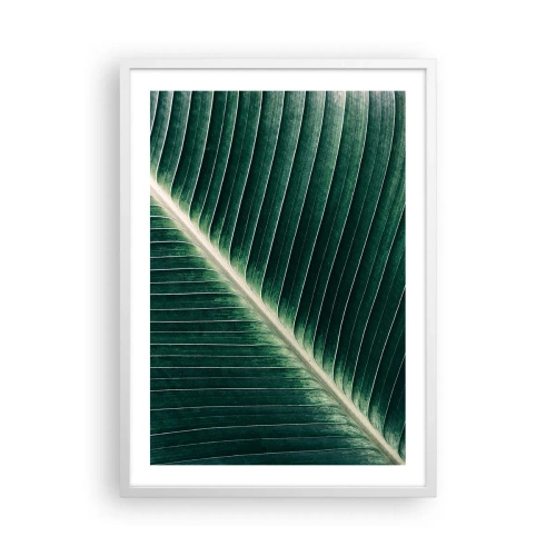 Poster in een witte lijst - Het ritme van de natuur - 50x70 cm