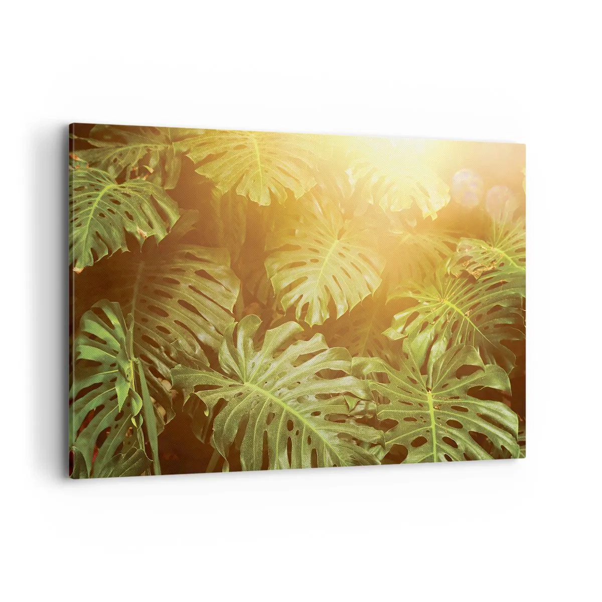 Schilderen op canvas - In het groen treden... - 120x80 cm