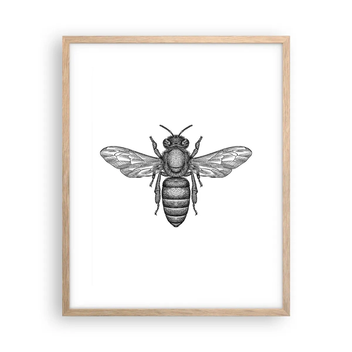 Een poster in een licht eiken lijst - Insectenportret - 40x50 cm