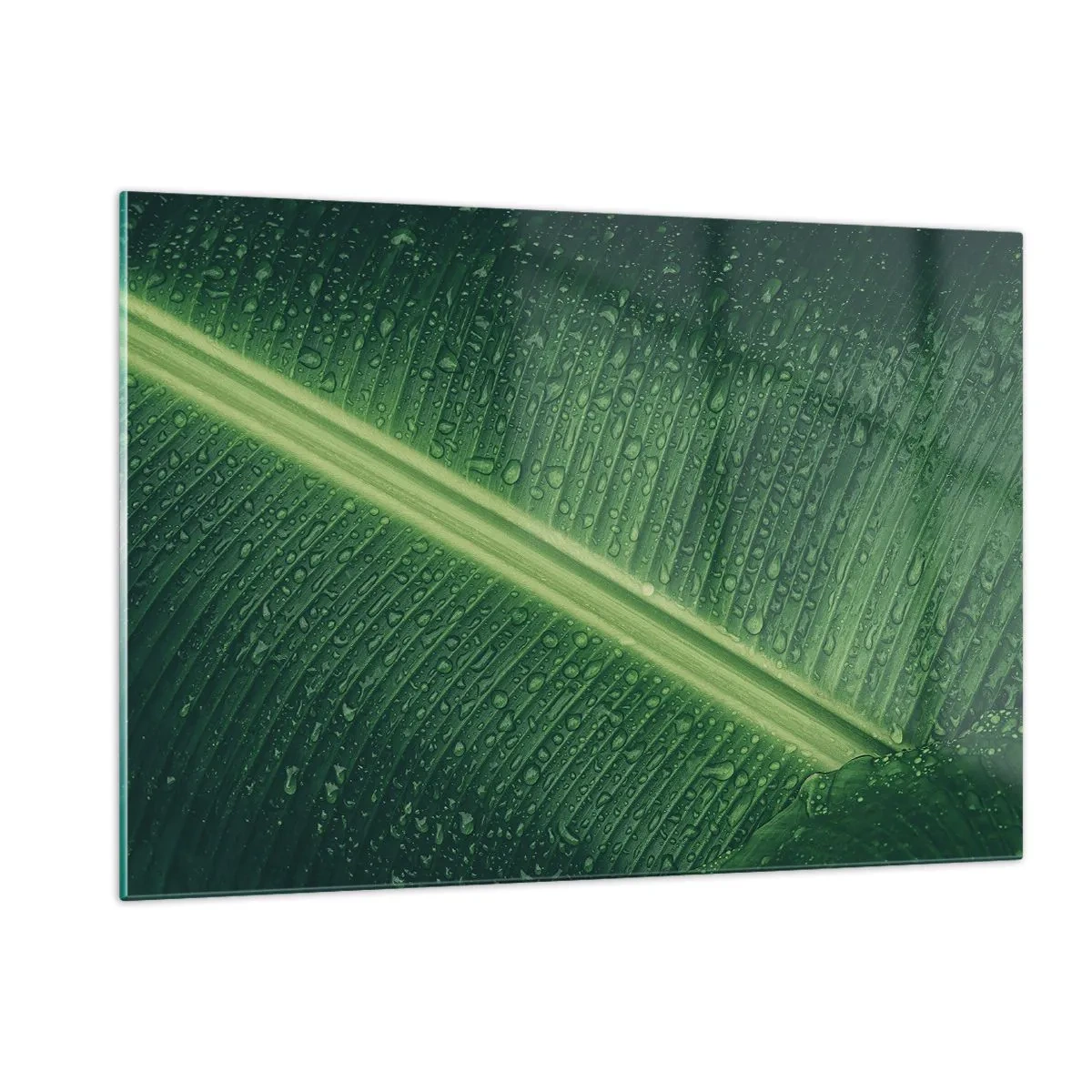 Schilderen op glas - De structuur van groen - 120x80 cm