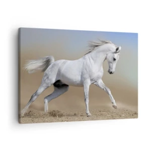 Schilderen op canvas - Een wit paard galoppeert door een woestijnlandschap - 70x50cm - Het mooiste Arabische sprookje - Moderne wanddecoratie voor woonkamer en slaapkamer ARTTOR