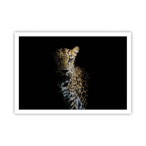 Poster - Donkere schoonheid - 100x70 cm
