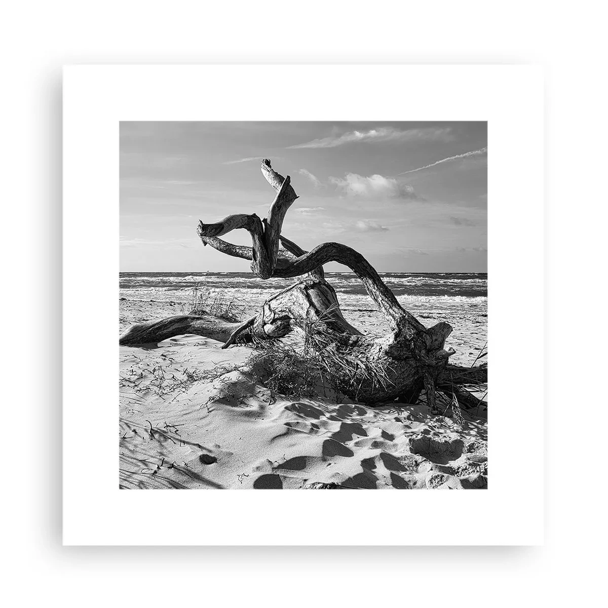 Poster - Zee sculptuur - 30x30 cm