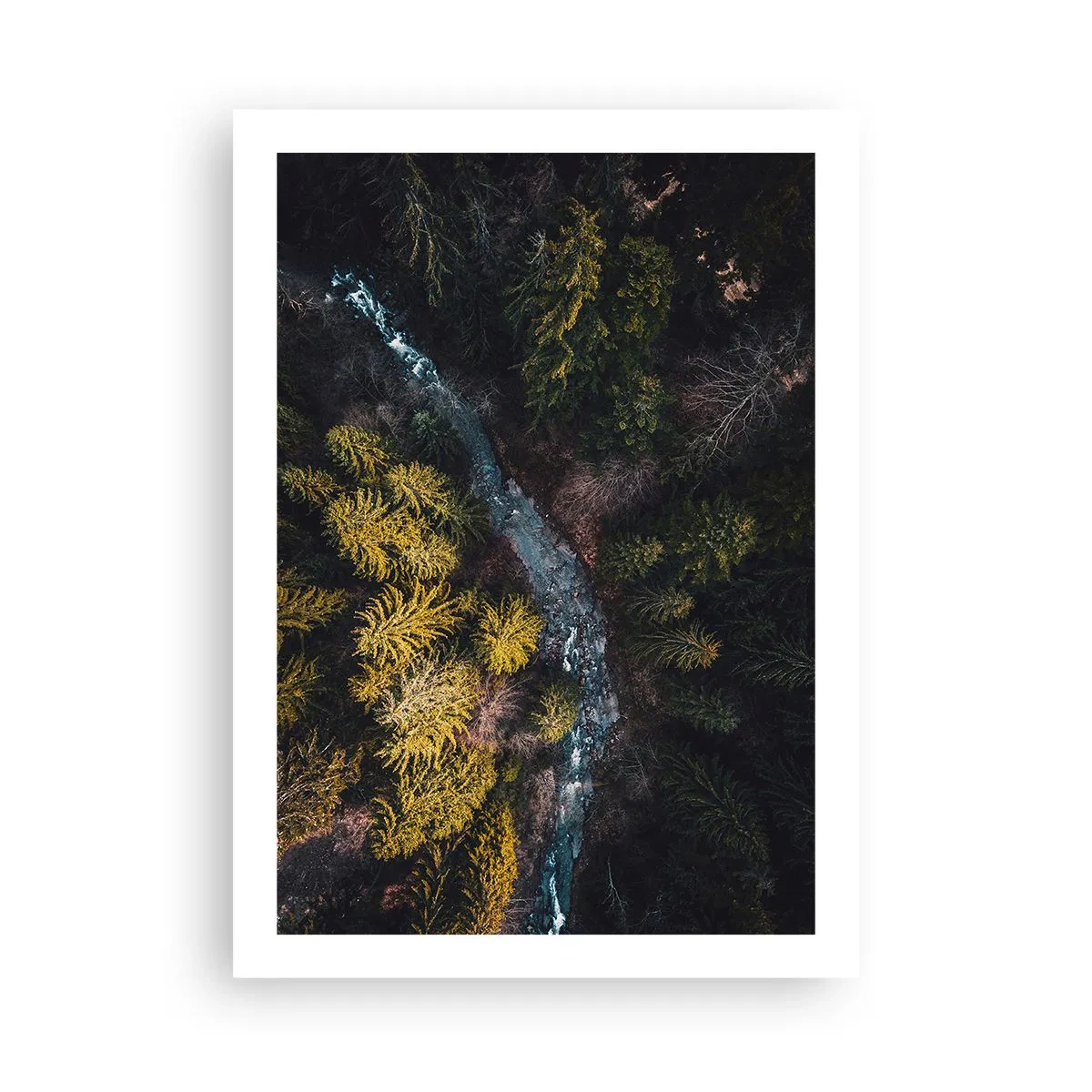 Poster - Snel, sneller en sneller - 50x70 cm