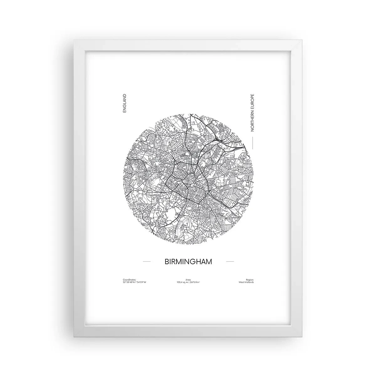 Poster in een witte lijst - Anatomie van Birmingham - 30x40 cm