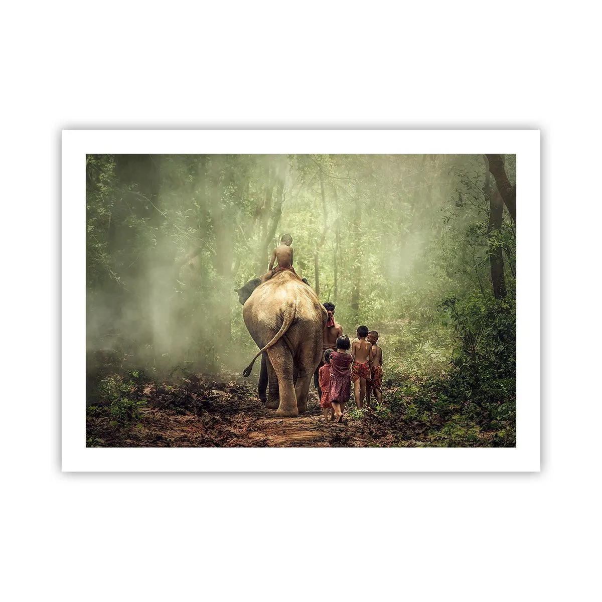 Poster - Nieuw Jungle Boek - 70x50 cm