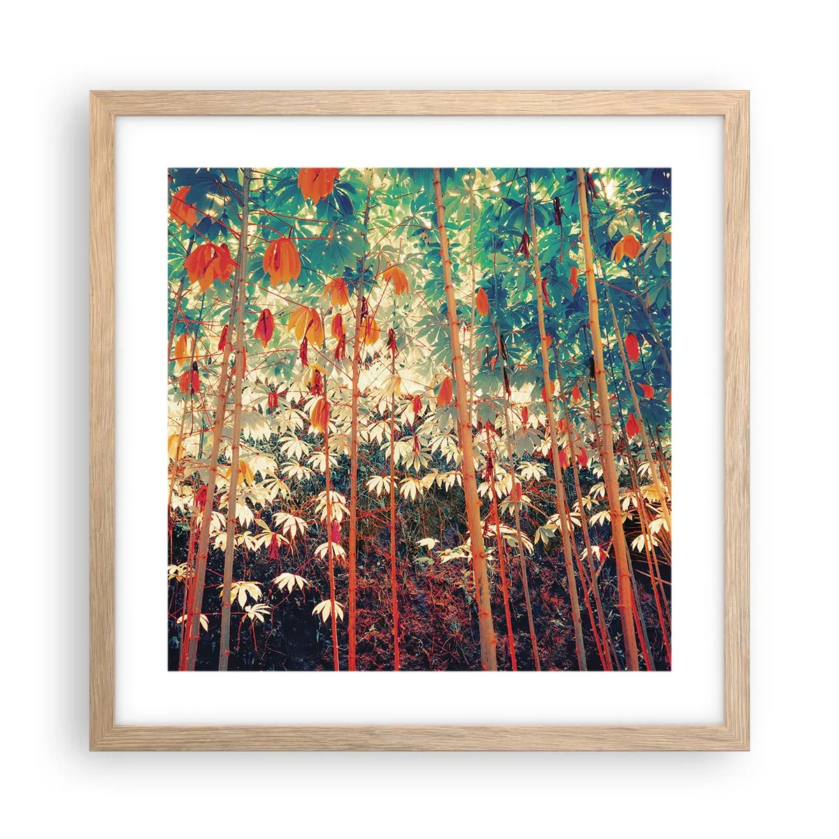 Een poster in een licht eiken lijst - Het geheime leven van de bladeren - 40x40 cm