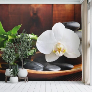 Zelfklevend Fotobehang Deluxe Sticker - Geef je over aan de aanraking van de natuur - Bloemen, Orchidee, Orchidee - 250x175 cm