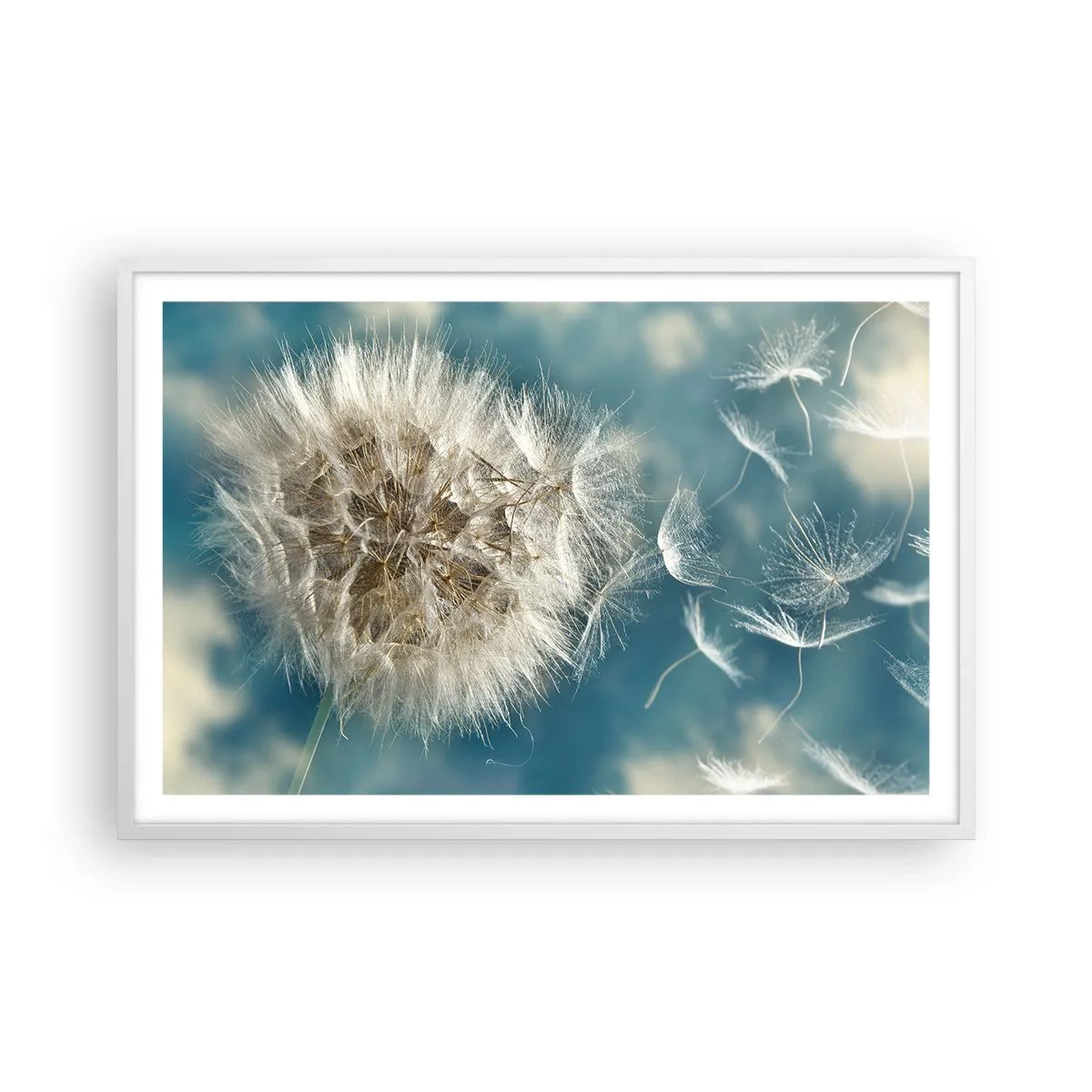 Poster in een witte lijst - Engelen adem - 91x61 cm