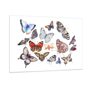 Schilderen op glas - Kanten, kleurrijke zwerm - 120x80 cm