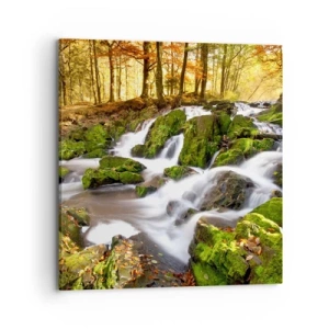 Schilderen op canvas - Snel door het herfstbos - 70x70 cm