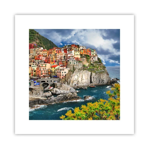 Poster - Een groepje geklampt an de rots - 30x30 cm