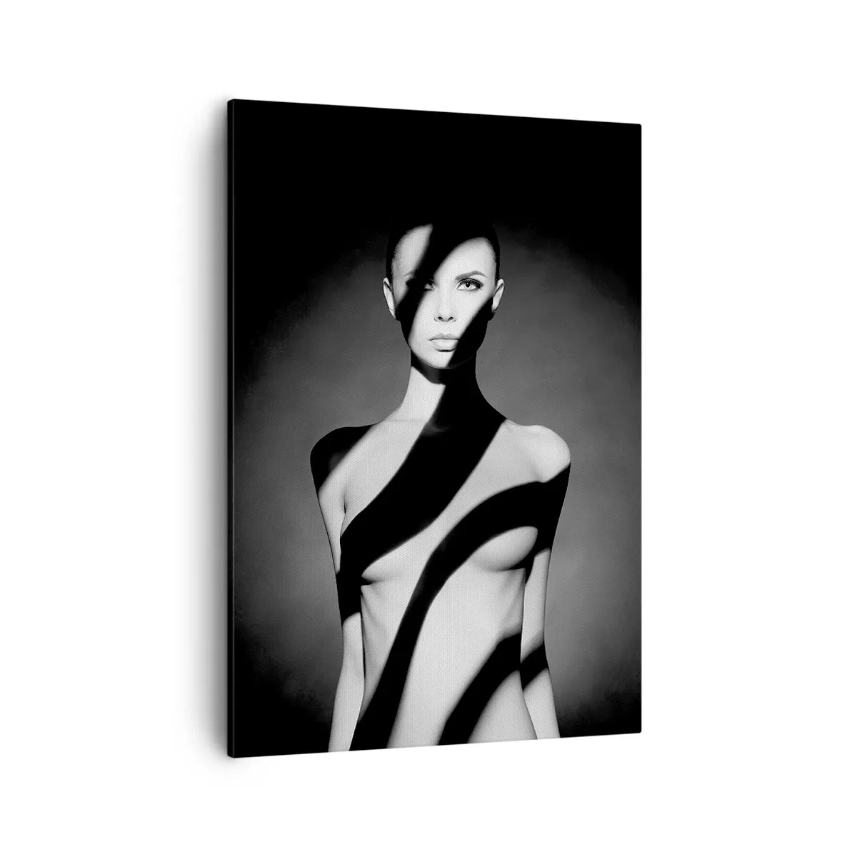 Schilderen op canvas - In glans en schaduw - 50x70 cm